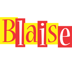 Blaise errors logo