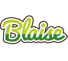 Blaise golfing logo