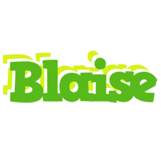 Blaise picnic logo