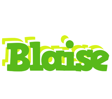 Blaise picnic logo