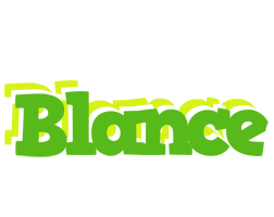 Blance picnic logo