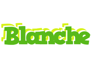 Blanche picnic logo