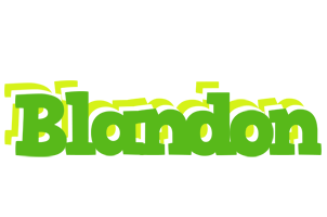 Blandon picnic logo