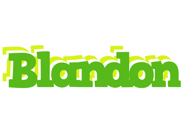 Blandon picnic logo