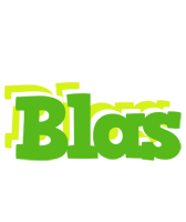 Blas picnic logo