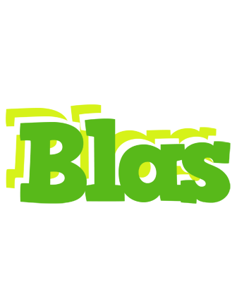 Blas picnic logo