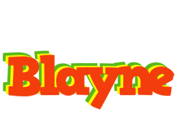 Blayne bbq logo