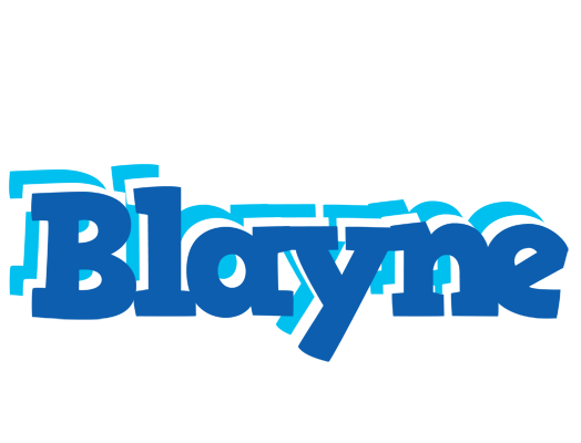 Blayne business logo