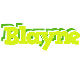 Blayne citrus logo