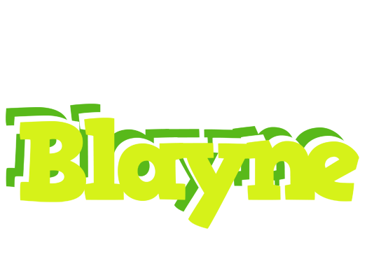 Blayne citrus logo