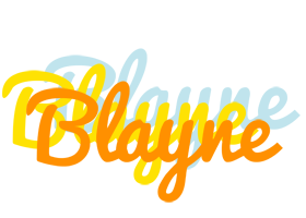 Blayne energy logo