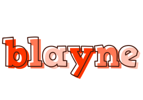 Blayne paint logo