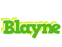 Blayne picnic logo