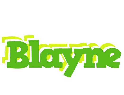 Blayne picnic logo
