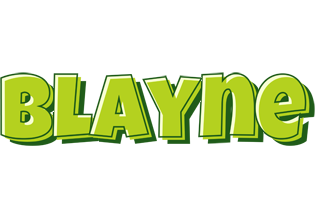 Blayne summer logo