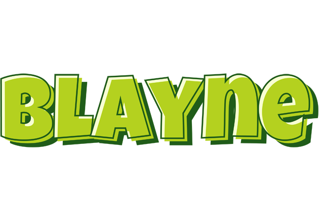Blayne summer logo