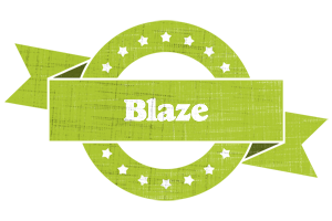 Blaze change logo