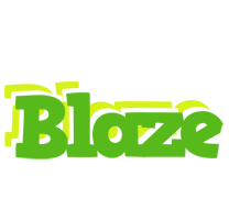 Blaze picnic logo