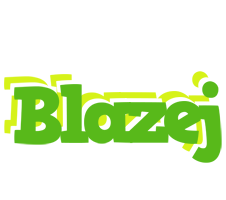 Blazej picnic logo