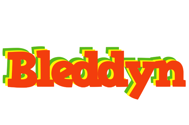 Bleddyn bbq logo