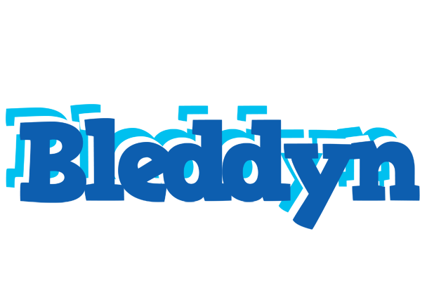 Bleddyn business logo