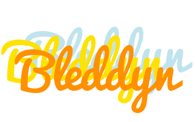 Bleddyn energy logo