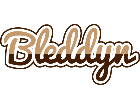 Bleddyn exclusive logo