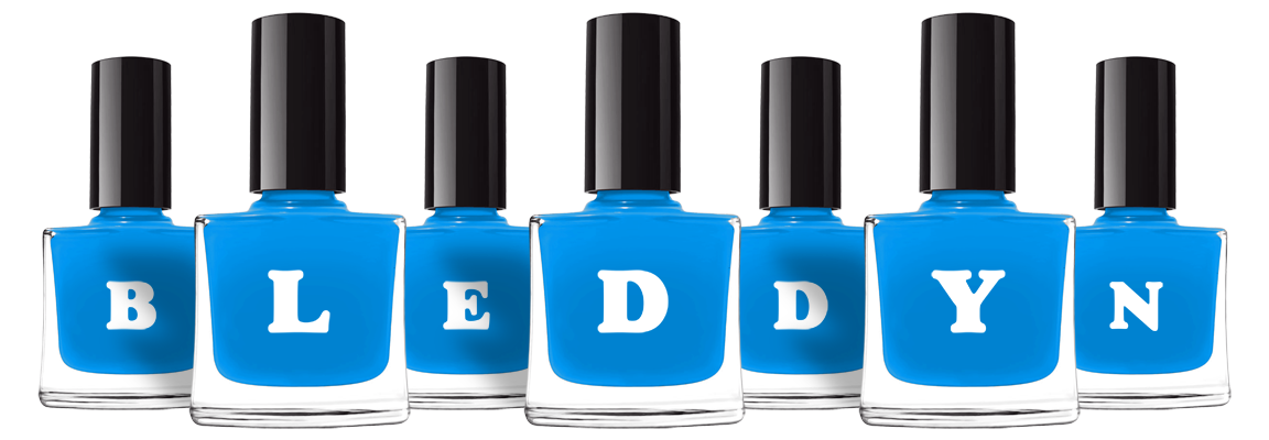 Bleddyn glossy logo