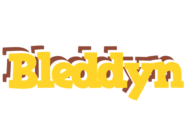 Bleddyn hotcup logo