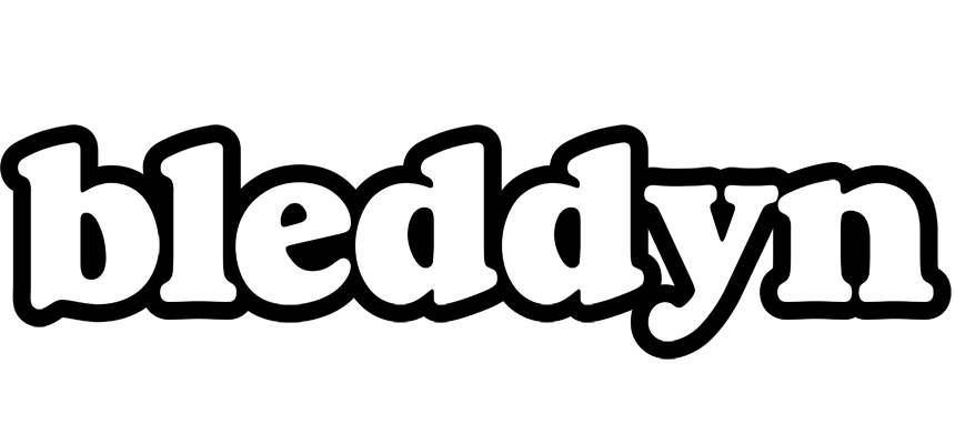 Bleddyn panda logo