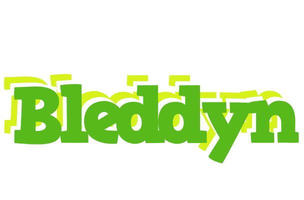 Bleddyn picnic logo