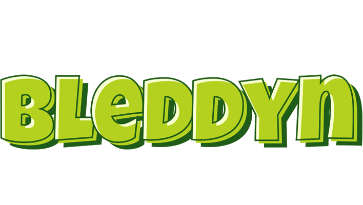 Bleddyn summer logo