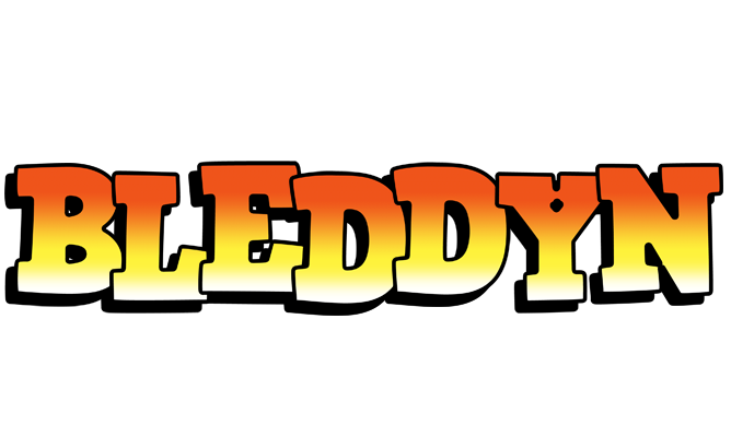 Bleddyn sunset logo
