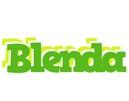 Blenda picnic logo