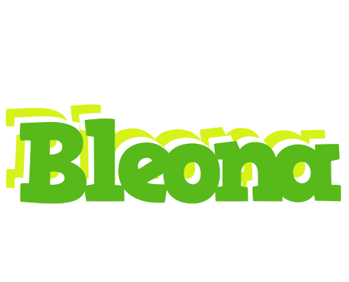 Bleona picnic logo
