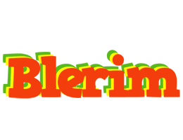 Blerim bbq logo