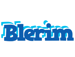 Blerim business logo