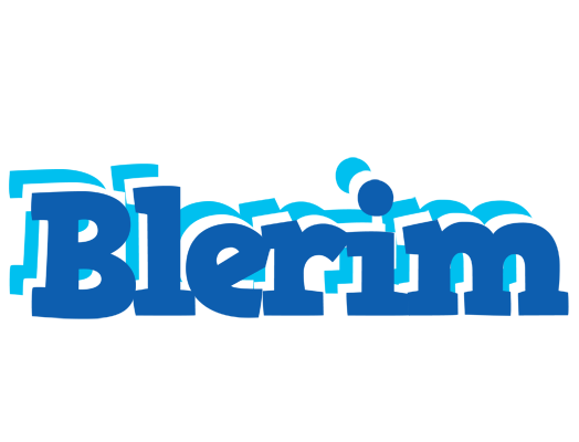 Blerim business logo
