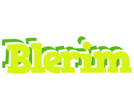 Blerim citrus logo