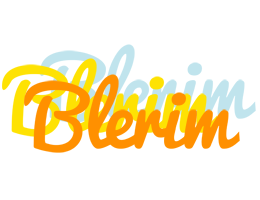 Blerim energy logo