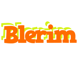 Blerim healthy logo