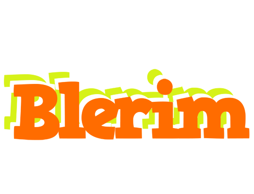 Blerim healthy logo