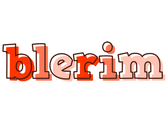 Blerim paint logo