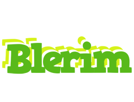 Blerim picnic logo