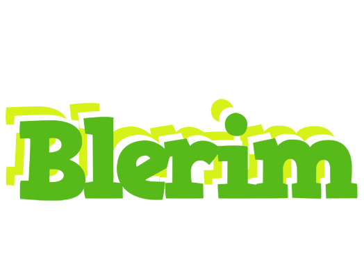 Blerim picnic logo