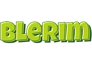 Blerim summer logo