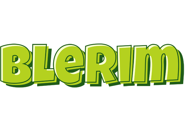 Blerim summer logo