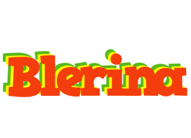 Blerina bbq logo