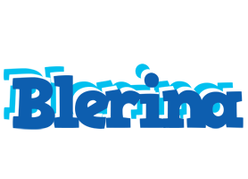 Blerina business logo