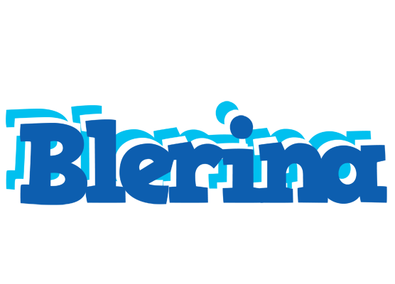 Blerina business logo